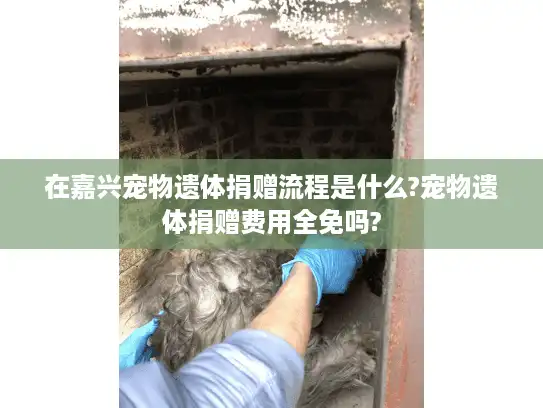 在嘉兴宠物遗体捐赠流程是什么?宠物遗体捐赠费用全免吗? 在嘉兴宠物遗体捐赠流程是什么?宠物遗体捐赠费用全免吗?