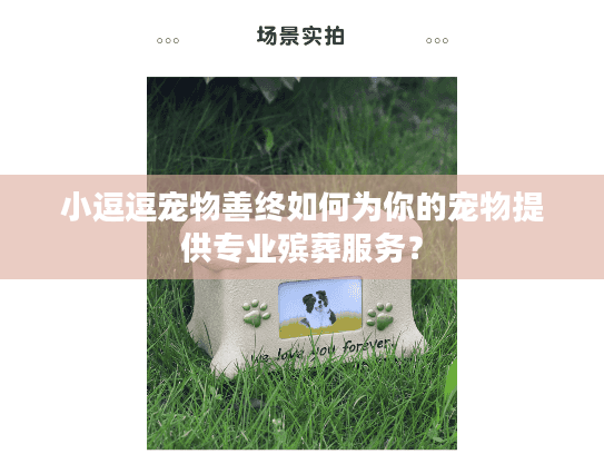 小逗逗宠物善终如何为你的宠物提供专业殡葬服务？