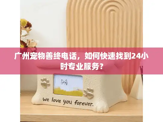 广州宠物善终电话，如何快速找到24小时专业服务？