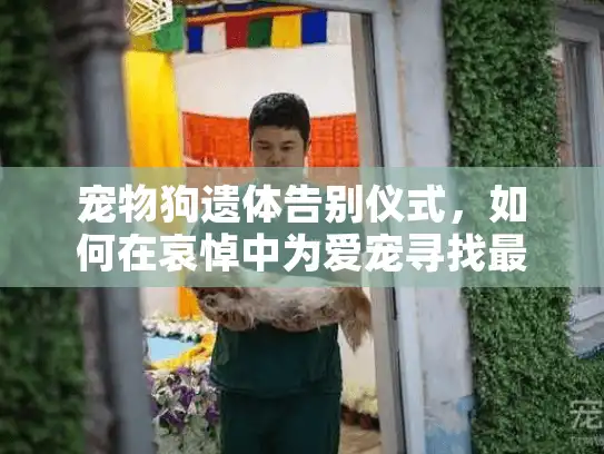 宠物狗遗体告别仪式，如何在哀悼中为爱宠寻找最后尊严？
