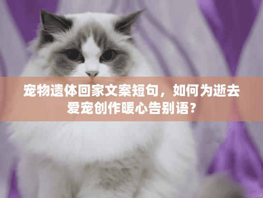 宠物遗体回家文案短句，如何为逝去爱宠创作暖心告别语？