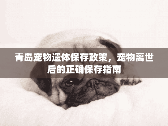 青岛宠物遗体保存政策，宠物离世后的正确保存指南