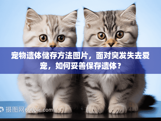 宠物遗体储存方法图片，面对突发失去爱宠，如何妥善保存遗体？