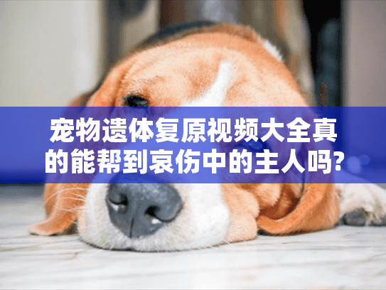 宠物遗体复原视频大全真的能帮到哀伤中的主人吗?