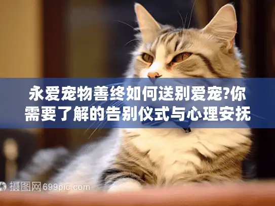 永爱宠物善终如何送别爱宠?你需要了解的告别仪式与心理安抚指南