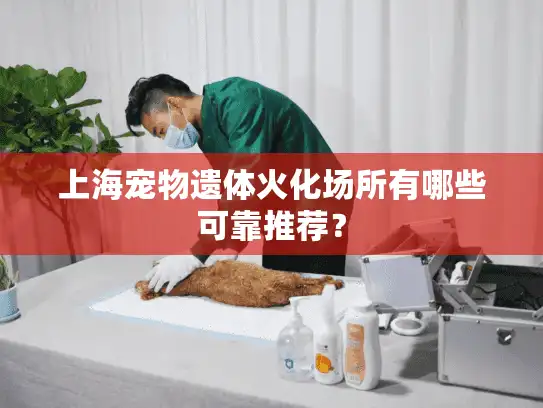 上海宠物遗体火化场所有哪些可靠推荐？