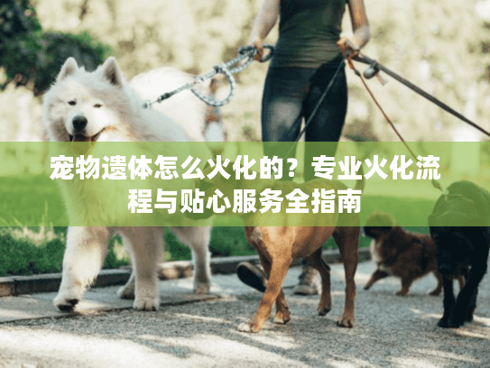 宠物遗体怎么火化的?专业火化流程与贴心服务全指南 宠物遗体怎么火化的?专业火化流程与贴心服务全指南