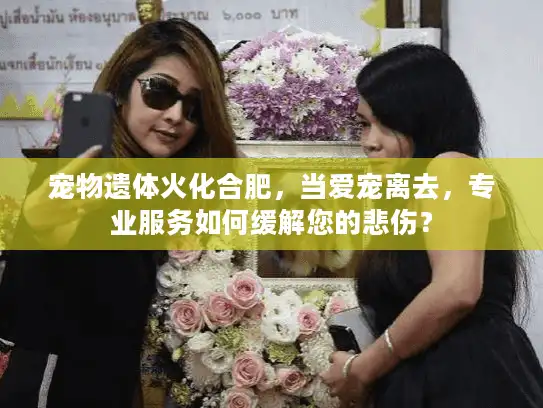 宠物遗体火化合肥，当爱宠离去，专业服务如何缓解您的悲伤？