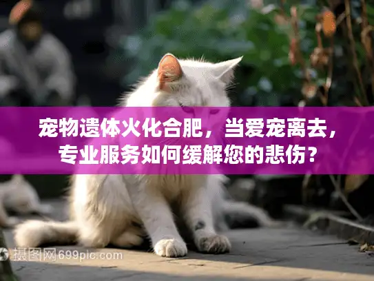 宠物遗体火化合肥，当爱宠离去，专业服务如何缓解您的悲伤？