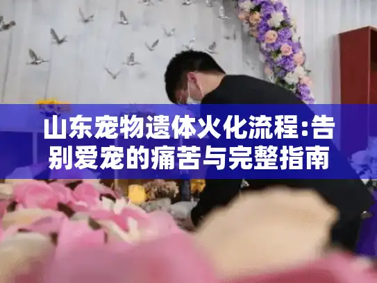 山东宠物遗体火化流程:告别爱宠的痛苦与完整指南