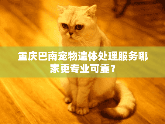 重庆巴南宠物遗体处理服务哪家更专业可靠？