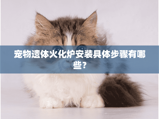 宠物遗体火化炉安装具体步骤有哪些? 宠物遗体火化炉安装具体步骤有哪些?