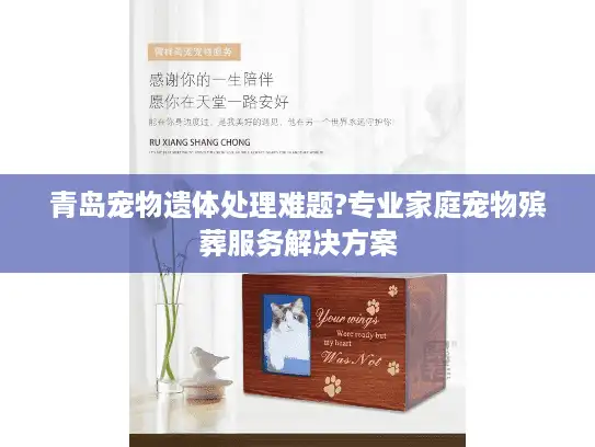 青岛宠物遗体处理难题?专业家庭宠物殡葬服务解决方案