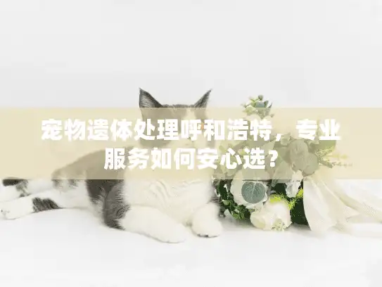 宠物遗体处理呼和浩特，专业服务如何安心选？