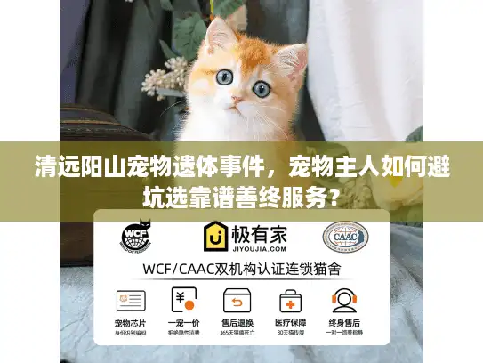 清远阳山宠物遗体事件，宠物主人如何避坑选靠谱善终服务？