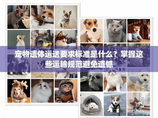 宠物遗体运送要求标准是什么？掌握这些运输规范避免遗憾