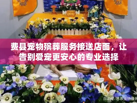 费县宠物殡葬服务接送店面，让告别爱宠更安心的专业选择