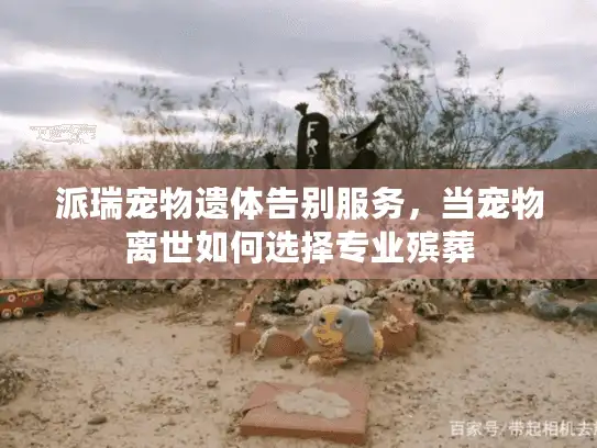派瑞宠物遗体告别服务，当宠物离世如何选择专业殡葬