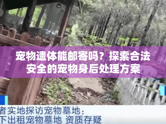 宠物遗体能邮寄吗？探索合法安全的宠物身后处理方案