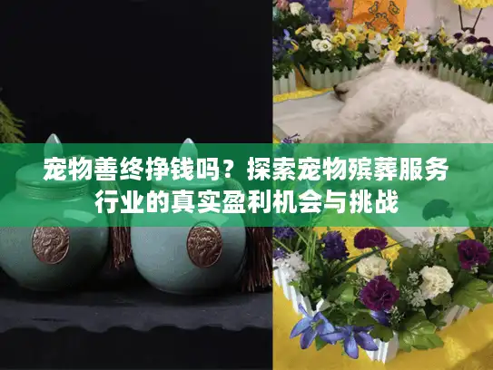 宠物善终挣钱吗?探索宠物殡葬服务行业的真实盈利机会与挑战 宠物善终挣钱吗?探索宠物殡葬服务行业的真实盈利机会与挑战
