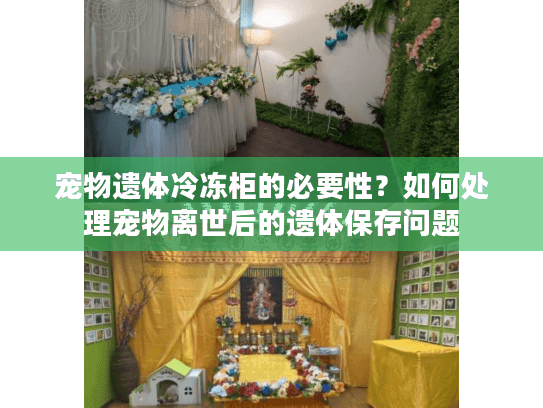 宠物遗体冷冻柜的必要性?如何处理宠物离世后的遗体保存问题 宠物遗体冷冻柜的必要性?如何处理宠物离世后的遗体保存问题