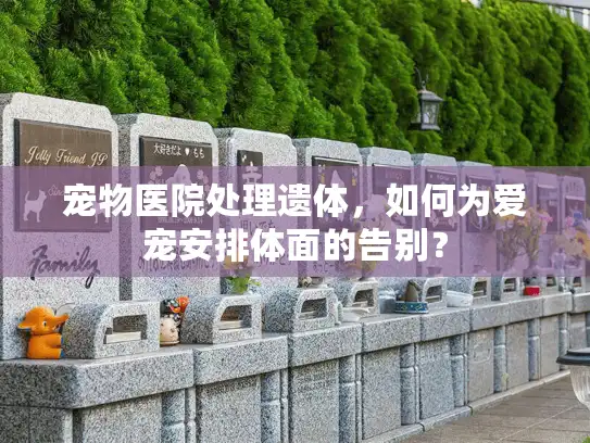 宠物医院处理遗体，如何为爱宠安排体面的告别？