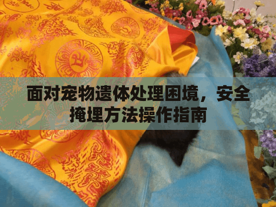 面对宠物遗体处理困境，安全掩埋方法操作指南