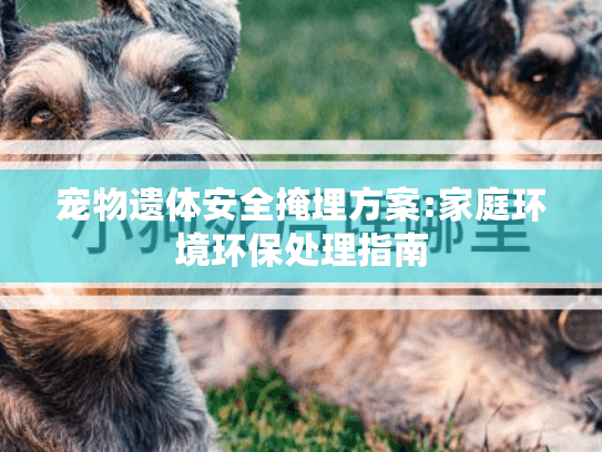 宠物遗体安全掩埋方案:家庭环境环保处理指南 宠物遗体安全掩埋方案:家庭环境环保处理指南
