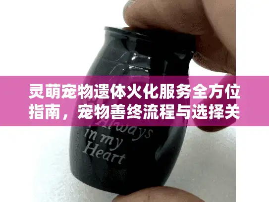 灵萌宠物遗体火化服务全方位指南，宠物善终流程与选择关键点