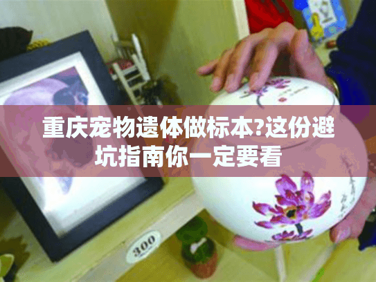 重庆宠物遗体做标本?这份避坑指南你一定要看