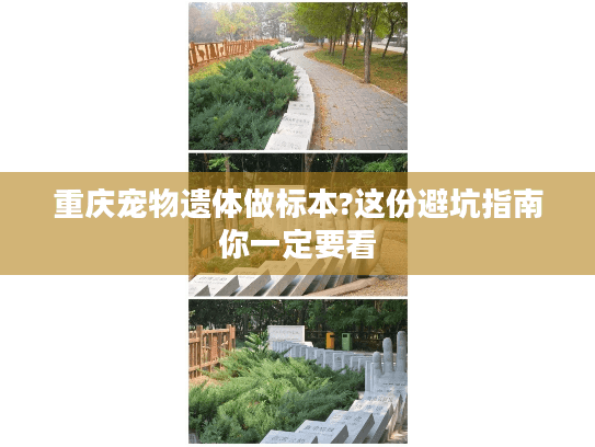 重庆宠物遗体做标本?这份避坑指南你一定要看