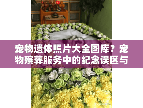 宠物遗体照片大全图库？宠物殡葬服务中的纪念误区与解决方案