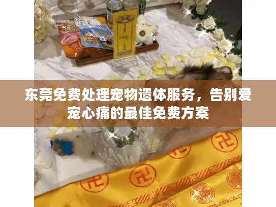 东莞免费处理宠物遗体服务，告别爱宠心痛的最佳免费方案