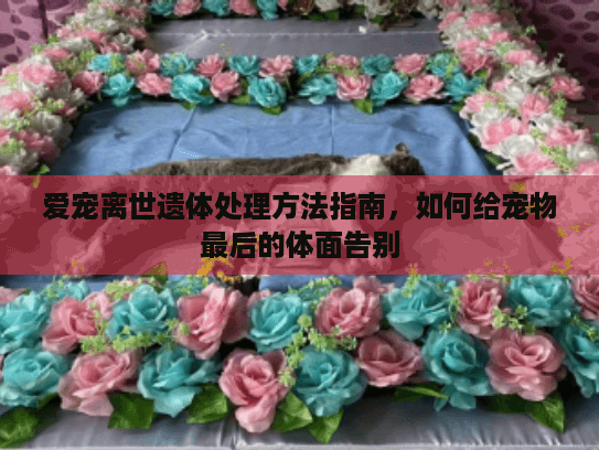 爱宠离世遗体处理方法指南,如何给宠物最后的体面告别 爱宠离世遗体处理方法指南,如何给宠物最后的体面告别