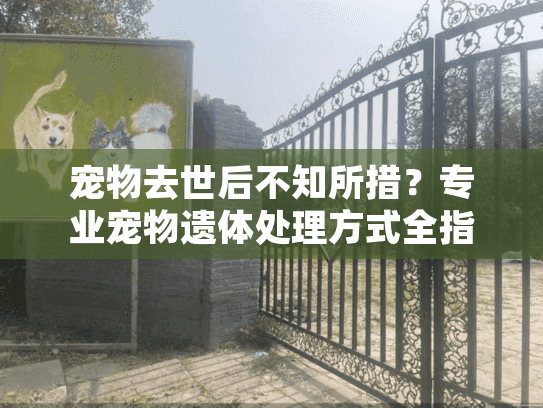 宠物去世后不知所措？专业宠物遗体处理方式全指南
