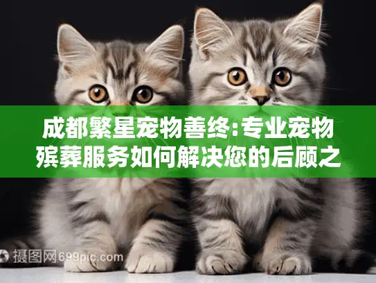 成都繁星宠物善终:专业宠物殡葬服务如何解决您的后顾之忧? 成都繁星宠物善终:专业宠物殡葬服务如何解决您的后顾之忧?