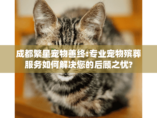 成都繁星宠物善终:专业宠物殡葬服务如何解决您的后顾之忧? 成都繁星宠物善终:专业宠物殡葬服务如何解决您的后顾之忧?