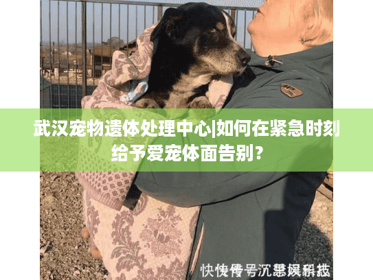 武汉宠物遗体处理中心|如何在紧急时刻给予爱宠体面告别？