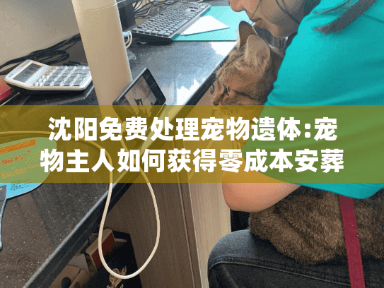 沈阳免费处理宠物遗体:宠物主人如何获得零成本安葬服务?