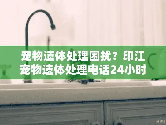 宠物遗体处理困扰？印江宠物遗体处理电话24小时服务热线解答