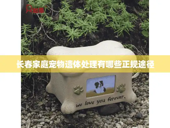 长春家庭宠物遗体处理有哪些正规途径 长春家庭宠物遗体处理有哪些正规途径