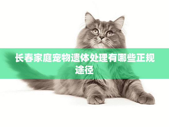 长春家庭宠物遗体处理有哪些正规途径 长春家庭宠物遗体处理有哪些正规途径