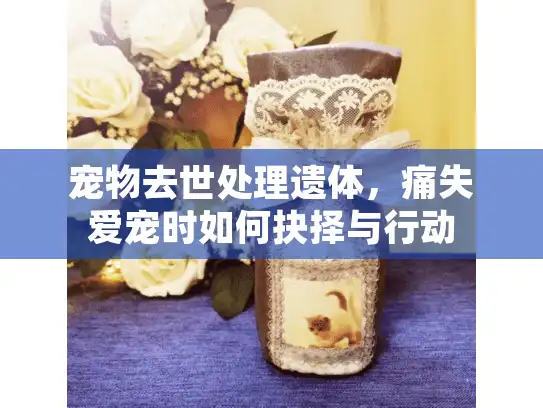 宠物去世处理遗体，痛失爱宠时如何抉择与行动