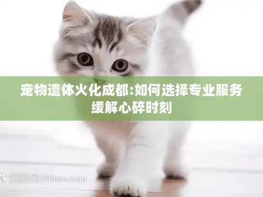 宠物遗体火化成都:如何选择专业服务缓解心碎时刻 宠物遗体火化成都:如何选择专业服务缓解心碎时刻