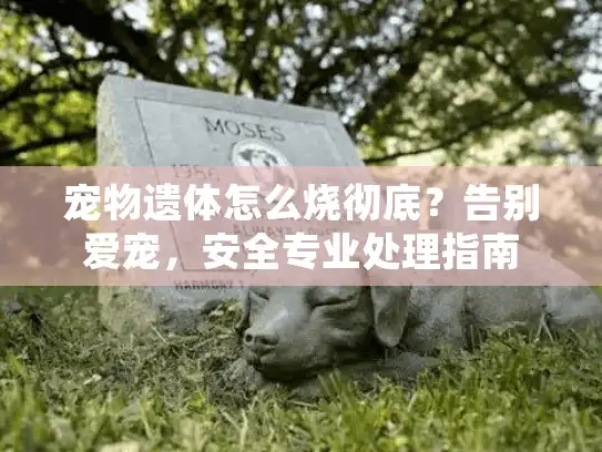 宠物遗体怎么烧彻底?告别爱宠,安全专业处理指南 宠物遗体怎么烧彻底?告别爱宠,安全专业处理指南
