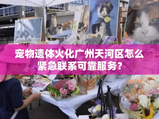 宠物遗体火化广州天河区怎么紧急联系可靠服务? 宠物遗体火化广州天河区怎么紧急联系可靠服务?