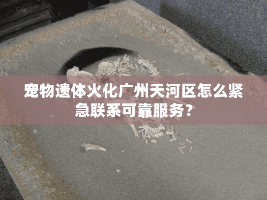宠物遗体火化广州天河区怎么紧急联系可靠服务? 宠物遗体火化广州天河区怎么紧急联系可靠服务?