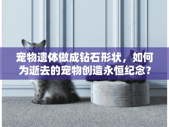 宠物遗体做成钻石形状，如何为逝去的宠物创造永恒纪念？