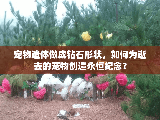 宠物遗体做成钻石形状，如何为逝去的宠物创造永恒纪念？