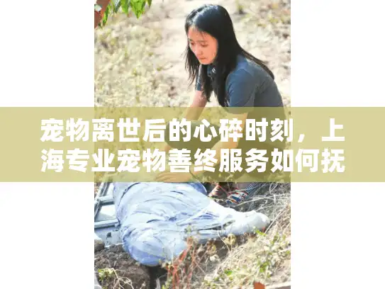 宠物离世后的心碎时刻,上海专业宠物善终服务如何抚慰心灵 宠物离世后的心碎时刻,上海专业宠物善终服务如何抚慰心灵